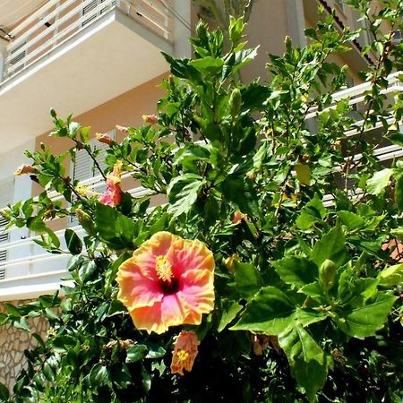 שאקה Casa Vacanze Ferdinandea מראה חיצוני תמונה